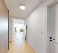 A hallway in a 2-room apartment with a wooden-patterned floor and built-in wardrobes.