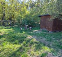 Gardens in Kopčany with a natural shelter surrounded by trees and greenery.