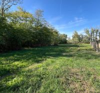 Gardens in Kopčany with extensive lawns, surrounded by trees under a blue sky.