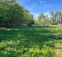The gardens in Kopčany provide green areas with dense vegetation and a wooden fence.
