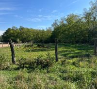 The greenery of the gardens in Kopčany under the blue sky, surrounded by a wooden fence.
