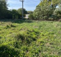 An electric pole in the middle of a green garden in Kopčany, surrounded by lush vegetation.