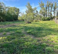 Gardens in Kopčany with grassy areas and trees in a spacious environment.