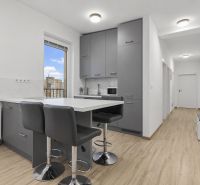 A kitchen in a 2-room apartment with a bar, gray cabinets, and a floor with a wood decor.