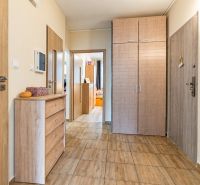 Entrance hall in a 3-room apartment, light wooden doors and floor with wood decor.