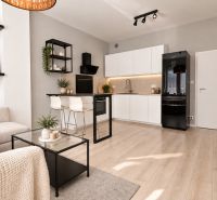Stylish 1-bedroom apartment with wood-patterned flooring and a modern kitchen.