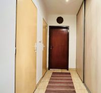 A hallway in a 3-room apartment with storage spaces and a carpet in warm tones.