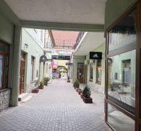 A passage with commercial spaces in Topoľčany with small trees and signs on the buildings.