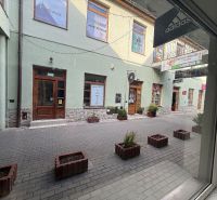 Commercial premises in Topoľčany with stone cladding and flower pots on a paved street.