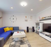 Living room in a family house with a blue sofa and wood-patterned flooring.