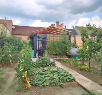 Garden at the family house on M. R. Štefánika Street in the town of Holíč.