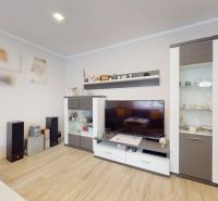 Living room in a family house with wood-patterned flooring and a modern living wall unit.