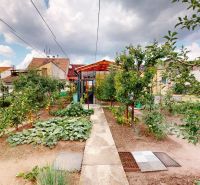 The garden at the family house on M. R. Štefánika Street in Holíč with fruit trees and vegetables.