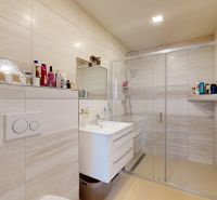 A bathroom with a sink, shower, and shelf in a family house.