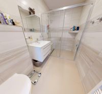 A bathroom in a family house with a glass shower enclosure and a modern sink on a cabinet.