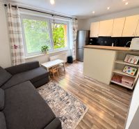 Bright living room in a studio apartment with wood-patterned flooring and a kitchenette.