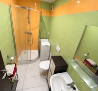 A bathroom with colorful tiles and a shower in a studio apartment.
