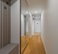 A hallway with a wooden decor floor and a mirrored wardrobe, Apartment construction.
