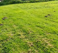 A grassy plot next to a family house in Košariská in Oščadnica, along the fence.