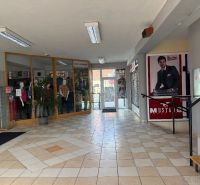 A corridor of commercial spaces with glass displays, a plant, and an advertisement on the wall.