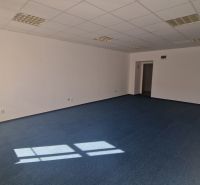 Offices with blue carpet, white walls, and ceiling lights.