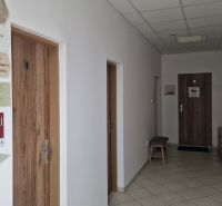 Offices with white walls and doors with wood decor for various companies.