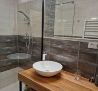 Bathroom in a studio apartment with a sink and shower, floor with wood decor.