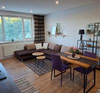 Living room with wood-patterned flooring, a sofa, and a dining table in a studio apartment.