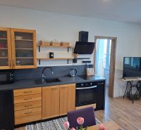 A kitchen in a studio apartment with wooden cabinets and a wood-patterned floor.