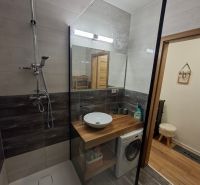 Bathroom with a sink, shower, and washing machine in a studio apartment, floor with wooden decor.