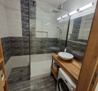 Bathroom in a studio apartment with a sink, shower, and washing machine.