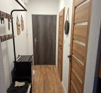 Hallway in a one-room apartment with a wooden decor floor and a coat rack.
