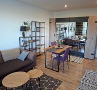 1-bedroom apartment with a sofa, dining table, and wooden decor flooring.