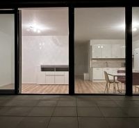 Glass doors leading to the kitchen with wood-patterned flooring in a 2-room apartment.