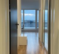 Entrance hallway in a 2-room apartment with a wooden decor floor and large windows.