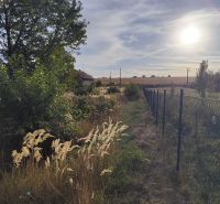 Sunny plots in Jasová with grassy areas and trees, next to the fence.