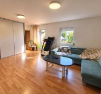 Living room in a family house with a wooden decor floor and a green sofa.
