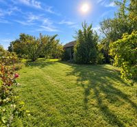The garden of a family house in Martovce with a lawn, trees, and sunny weather.