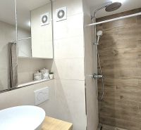 A studio apartment bathroom with a large mirror and a shower corner with a wooden decor.