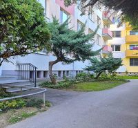 A path surrounded by greenery and trees near a studio apartment on Dlhá Street in Nitra - Chrenová.