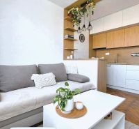 Studio apartment with a kitchen, sofa, shelves, and a wooden decor floor.