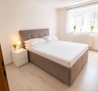 A bedroom with a bed, nightstands, and a floor with a wooden decor in a two-room apartment.