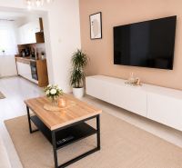 Living room in a 2-room apartment with a wooden decor floor and modern furniture.