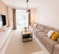 Bright living room in a 2-room apartment with a comfortable couch and windows.