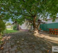 A family house on Hlavná Street in Štefanová surrounded by a green yard with a large tree.