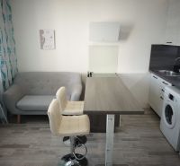 Kitchen and living area in a studio apartment with wood decor and a sofa.