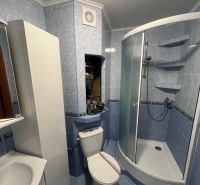 A bathroom in a studio apartment with blue tiles, a shower corner, and a toilet.