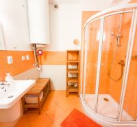 A bathroom in a 3-room apartment with orange tiles, a shower corner, and a white sink.