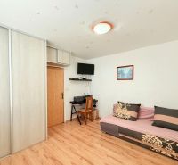 Living room in a 3-room apartment with a wooden decor floor, a sofa, and a cabinet.