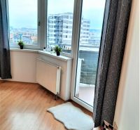 Large windows in a 2-room apartment with a wooden decor floor.